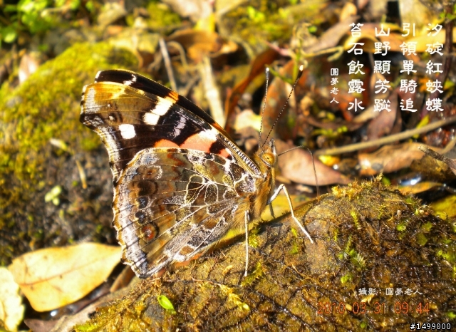 參加汐萬百客週年回顧