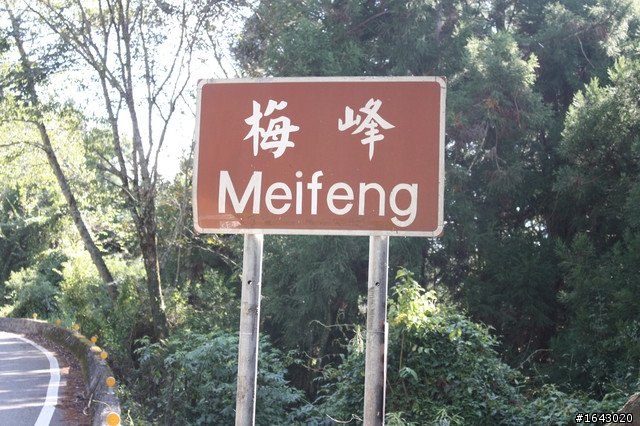 兩天一夜~漫遊公路之巔~武嶺遊~