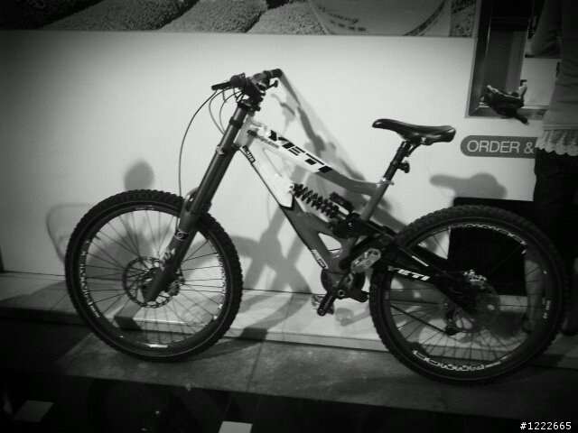 （分享）Yeti 303 R DH