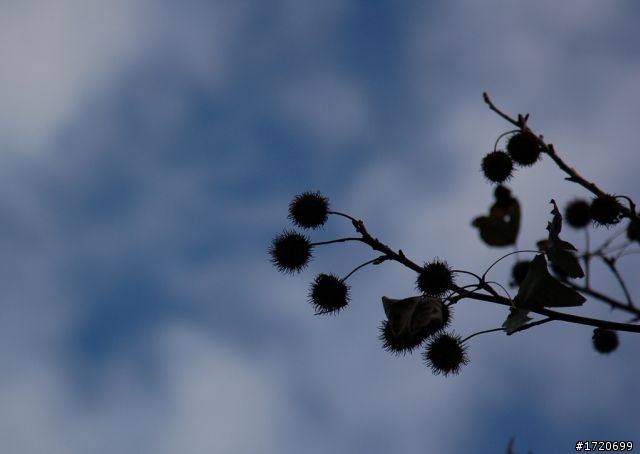 NIKON 24-120 mm F/4G VR N 開箱