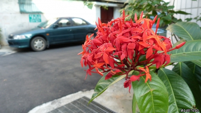 【幫忙開箱啦!】Panasonic FZ-40 小砲機~