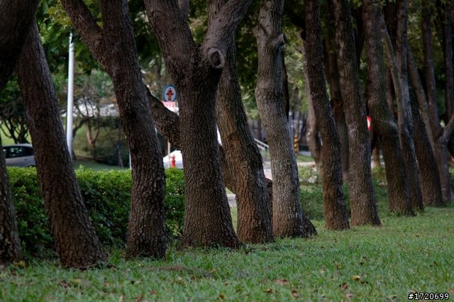 NIKON 24-120 mm F/4G VR N 開箱