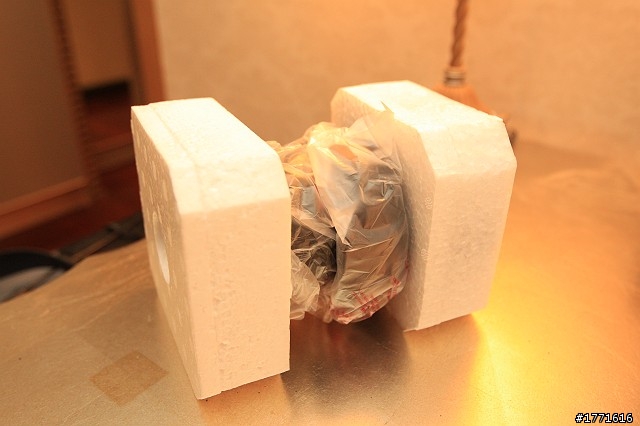 無敵兔開箱~解放吧夥伴們