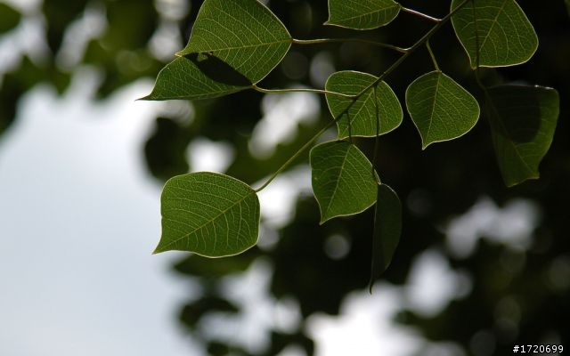 NIKON 24-120 mm F/4G VR N 開箱