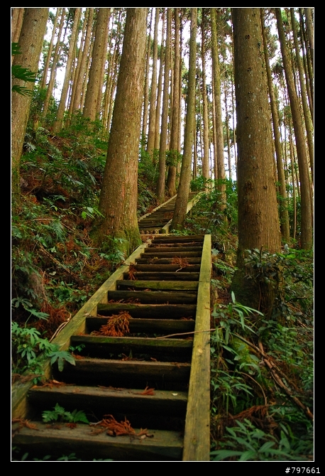 南庄-鹿場部落-加里山