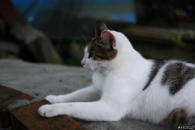 蓋個35mm f2.0 的大樓