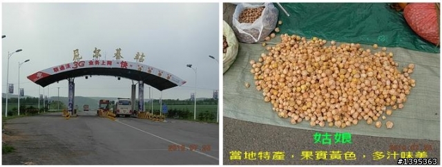 【2010神州之旅  】  北極村    TO   廈門