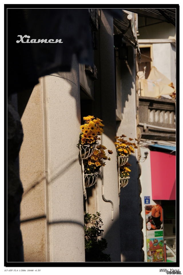 Sony DT 18-250 新增實拍照  於 1樓   A55 + Sony DT 18-250     250mm 端 這樣夠銳利了吧!??