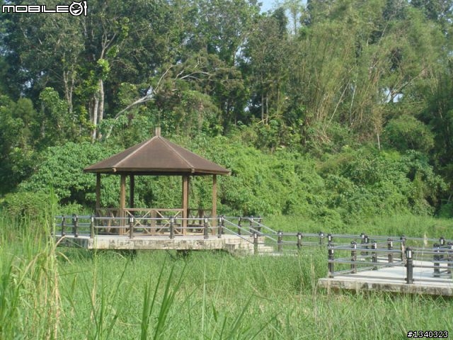 腳踏車自由行-西拉雅親子公園(台南大內鄉)