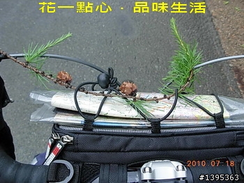【2010神州之旅  】  北極村    TO   廈門