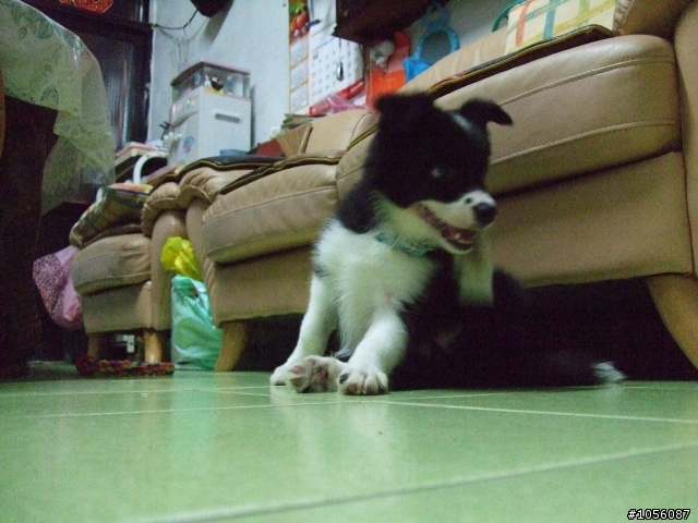 小小邊境