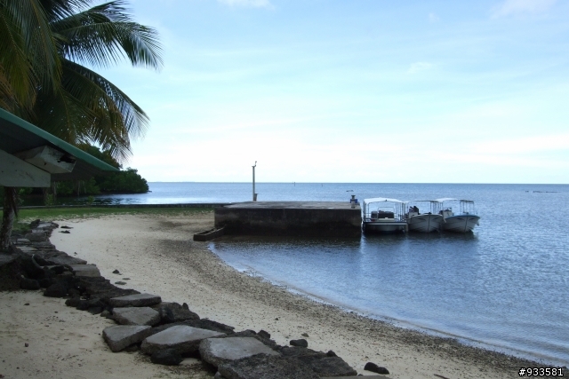 繼濟州島爛透了後之帛琉不錯玩~