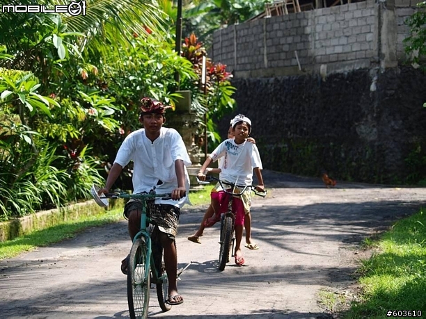 【巴里島】烏布鄉間小路, 單車行