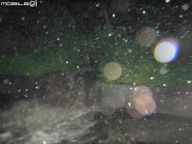 瘋300 Lunatic Fringe - 對生命的狂熱者