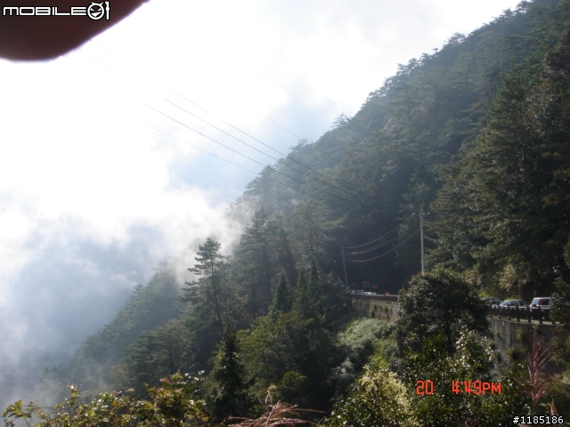 2010/11/20高雄至台中大雪山國家森林遊樂區隨心遊