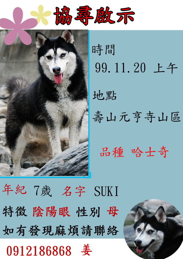 協尋 高雄 鼓山區 母哈士奇
