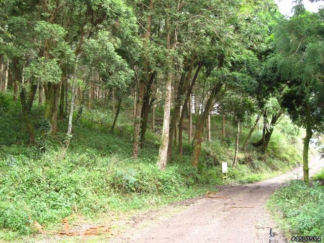 世外桃源的山中傳奇 ~ 小關山林道