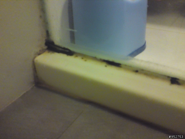 有人知道磁磚細縫上的污垢如何用掉嗎