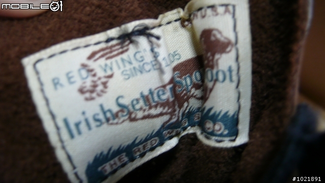 [舊開箱]Irish Setter 1952