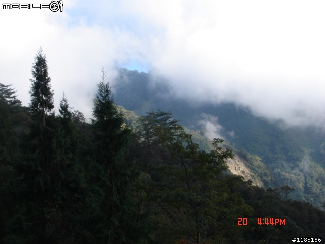 2010/11/20高雄至台中大雪山國家森林遊樂區隨心遊