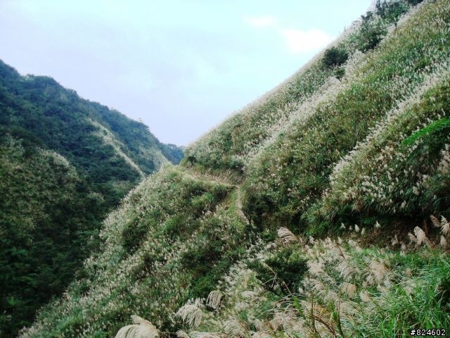 那個秋末‧桶后越嶺。