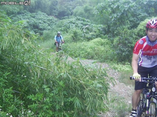 我家的後山