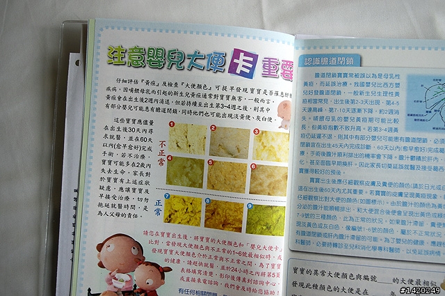[扶正]新手爸爸的甜蜜日記～橘子降臨篇