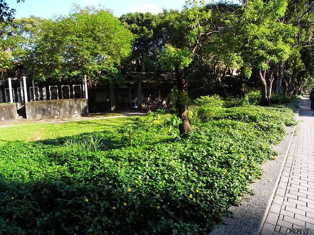 DC也辦的到~等距18mm超廣視野 Part II (GX100 + Nikon NH-WM75 )