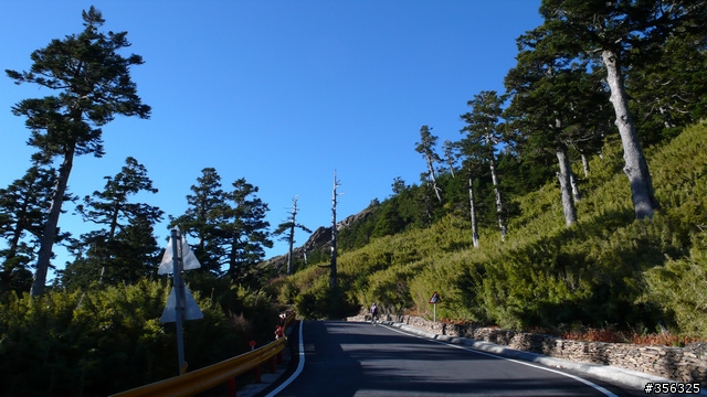[讚!] 美呆了...大禹嶺-武嶺-合歡山4+2+2觀日出單車行