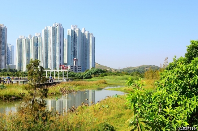 我的D7000 with 24-70 mm 香港溼地公園之旅