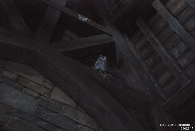 The Wizarding World of Harry Potter in Universal Orlando Resort 環球影城-哈利波特-魔法世界(圖多)