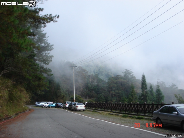 2010/11/20高雄至台中大雪山國家森林遊樂區隨心遊