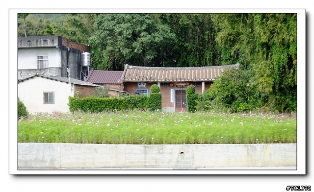 新竹地區優質單車路線~~新埔後山