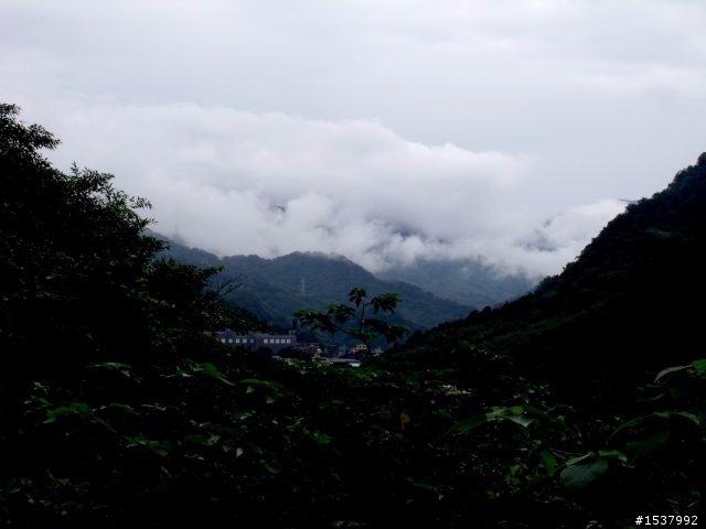 北113這適合off road嗎？