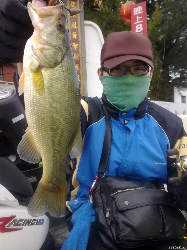 2010-11-04 龍潭大池開胡+野場雷魚