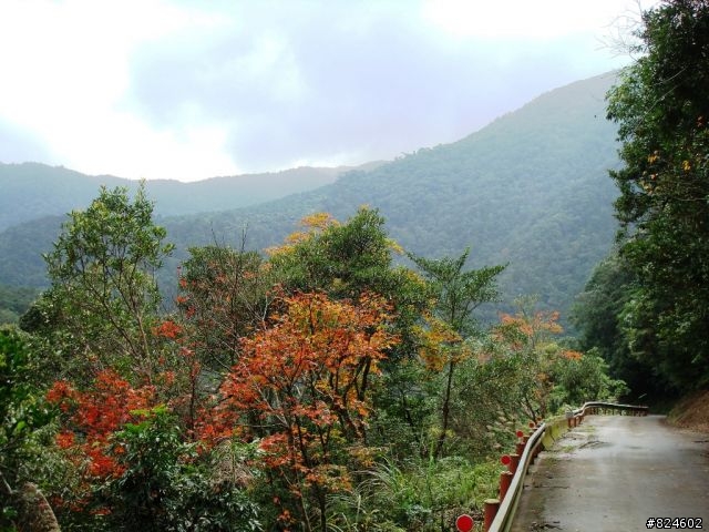那個秋末‧桶后越嶺。