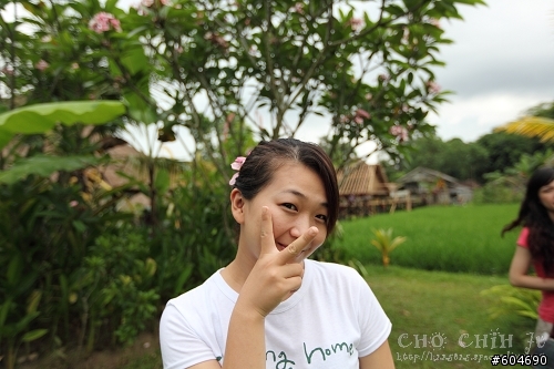 杏一 峇里島5日遊