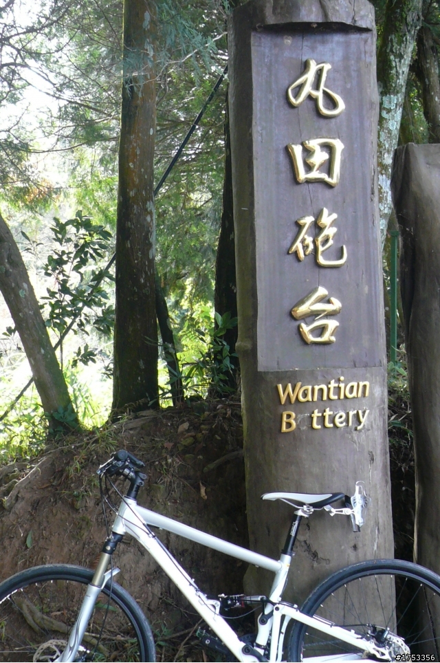 雪見攻略 雲海 雲瀑 樹林