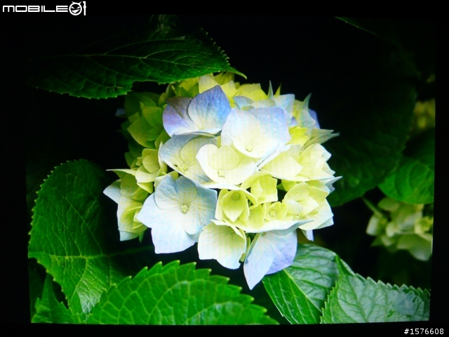 鋼琴質感再進化 ASUS ML248H 開箱分享