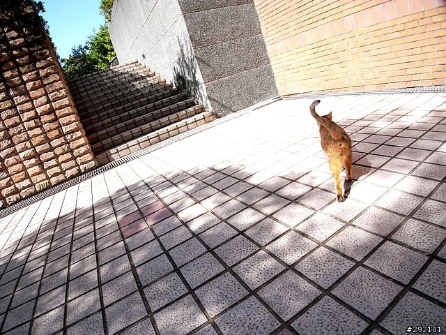 DC也辦的到~等距18mm超廣視野 Part II (GX100 + Nikon NH-WM75 )