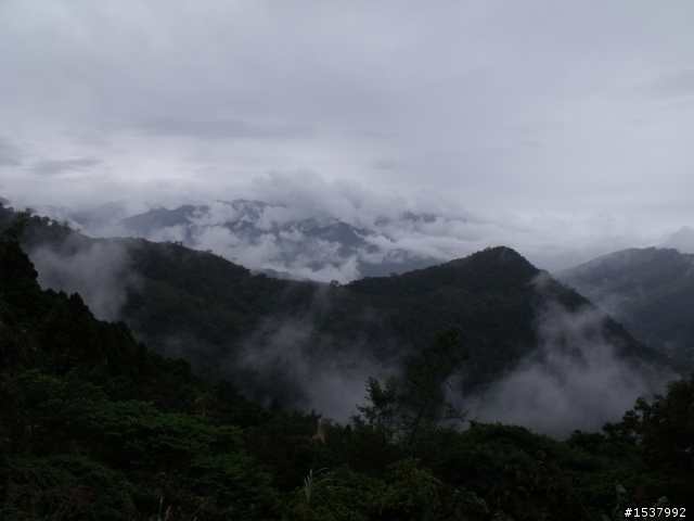 北113這適合off road嗎？