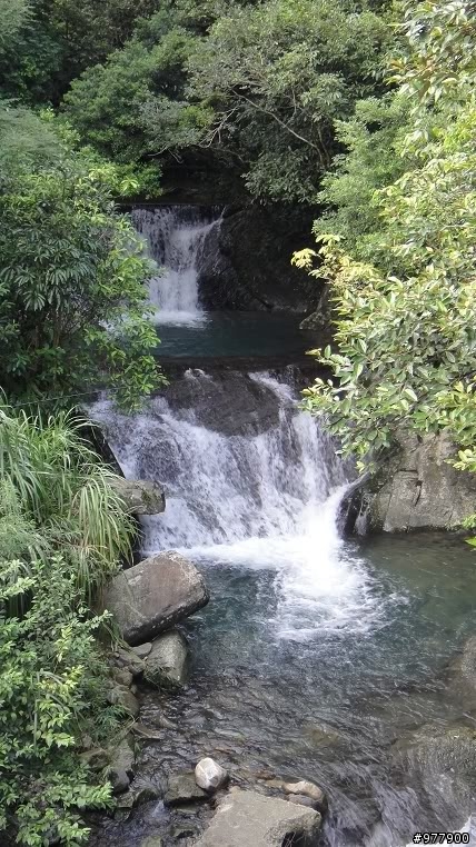 【醉愛騎】坪雙公路(42縣道)貴妃池_闊瀨吊橋_黑龍潭_大舌湖