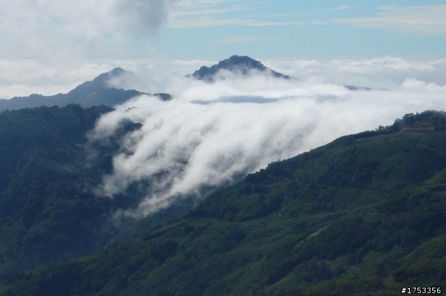 雪見攻略 雲海 雲瀑 樹林