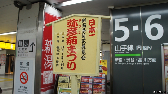 乘風而行～踩著颱風到日本！我的東京吃吃喝喝192小時