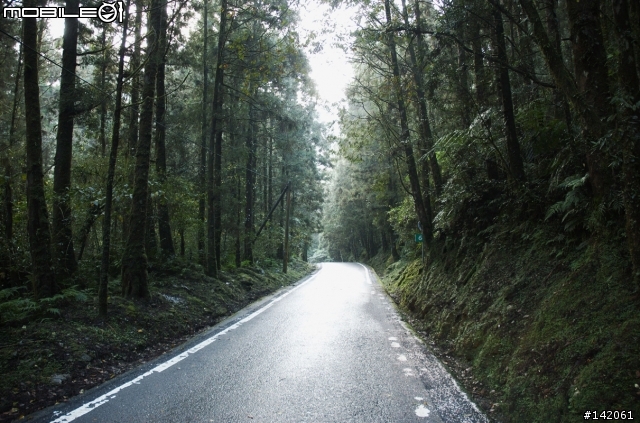 差點掛在北橫的福壽山趕路之旅