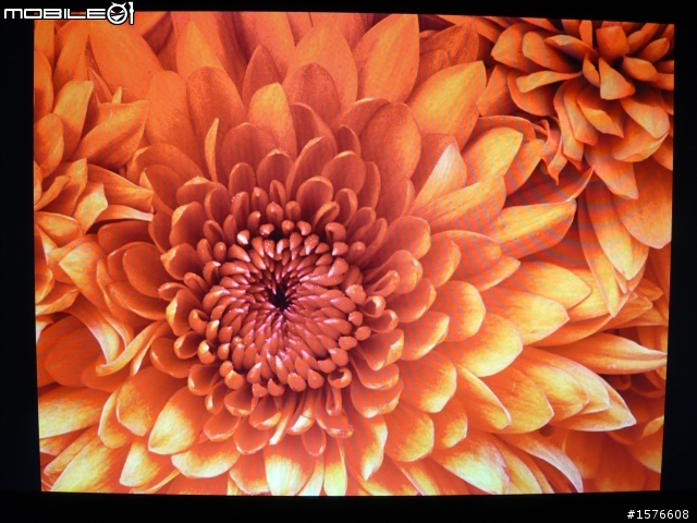 鋼琴質感再進化 ASUS ML248H 開箱分享