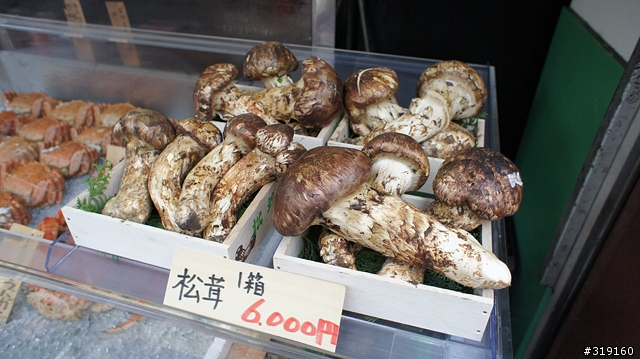乘風而行～踩著颱風到日本！我的東京吃吃喝喝192小時