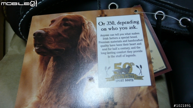 [舊開箱]Irish Setter 1952