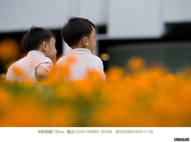 Alpha & Zeiss 臺北花博，圓山公園區