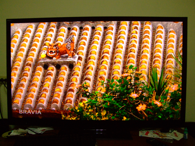SONY 55NX810 使用中